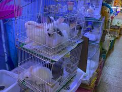 -双季花艺园艺市场(浦东店)