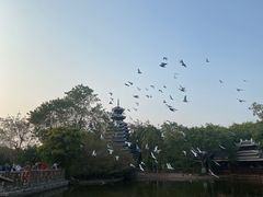 -厦门园林博览苑