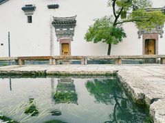 -广富林郊野公园