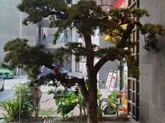 -悦宴·雅致餐厅(绿地蓝海店)
