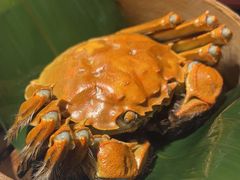 -南京大牌档(香港广场店)