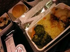 -新加坡航空公司(ION)