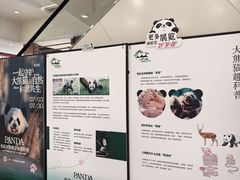 -龙湖重庆时代天街