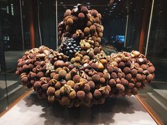 -济南香格里拉·咖啡泉自助餐厅