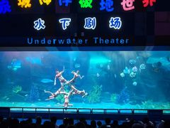 -泉城欧乐堡海洋极地世界