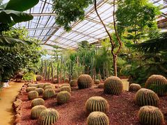 -呀路古热带植物园
