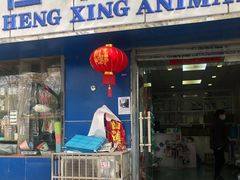 -恒幸动物医院·急重症转诊中心·神经内外科·CT核磁