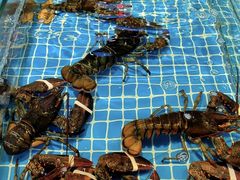 -三亚火车头万人海鲜广场