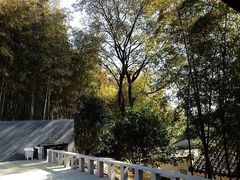 nEO_IMG_IMG_6422-苏州环秀晓筑养生度假村