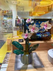 -乐高授权专卖店(朝阳大悦城店)