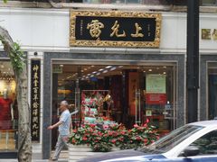 -雷允上(南京西路店)