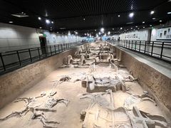 -洛阳周王城天子驾六博物馆