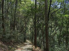-西湖风景区十里琅珰-五云山