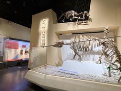 -国家自然博物馆