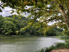 -黔灵山公园