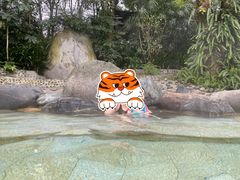 -青城道汤池