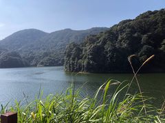 -广州市石门国家森林公园