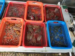 -阿古海鲜大排档(青澳湾自然之门六年好店)