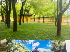 -西园寺素食(西园弄戒幢律寺店)