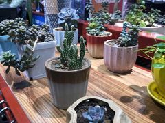 -法雅体育工厂店(皂君庙路店)