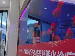 -牙博士口腔品牌连锁(杨浦店)