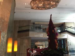 -广州天河希尔顿酒店