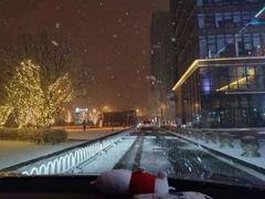 -小大董·烤鸭(凤凰汇店)