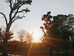 -南丹山森林王国