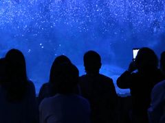 -左海海底世界