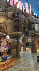 -卡通尼·Safari非洲探索乐园·生日会(金桥国际商业广场店)