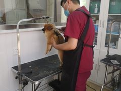 -北京恒爱动物医院(清景园分院)