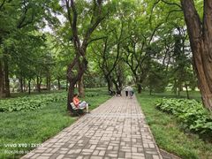 -玲珑塔公园
