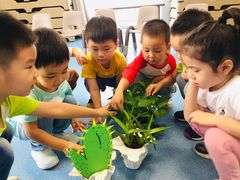 -贝乐多幼儿园(中北校区)