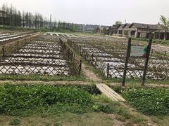 -乌村