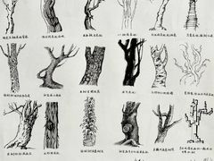 -大墨蒲公英素质美校(武汉保利校区)