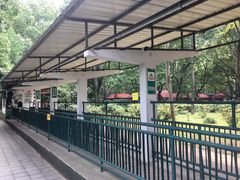 游乐设施-上海共青森林公园