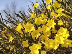 景点-蓬莱阁景区