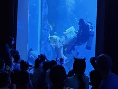 -太平洋海底世界