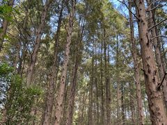 -同里国家湿地公园