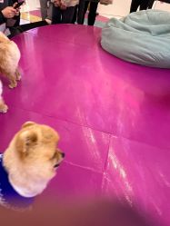 -开心巴士(世纪东方商业广场店)