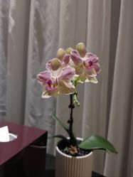 -广州文华东方酒店·水疗中心