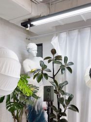 -飛凡TATTOO纹身•原创