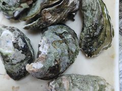 -星奇缘·海鲜餐厅(东山美食地标店)