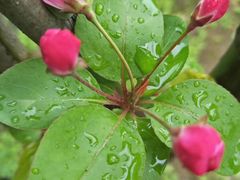 -螃蟹岬(地铁站)