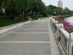 -光明港公园