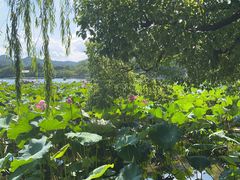 -小狗面馆(复兴店)