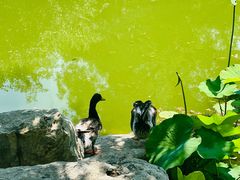 -宣武艺园