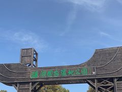 -溱湖国家湿地公园