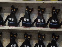 -猫咪博物馆(顶澳仔猫街店)