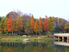 -贡湖湾湿地公园